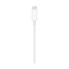 Apple MagSafe Duo Charger