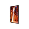 SAMSUNG LFD 46" OM46N, 1920x1080, 4000cd/m2, 5000:1, 6ms, 2xHDMI/DP/USB/RS232 Be&Ki/RJ45 Be&Ki/WiFi