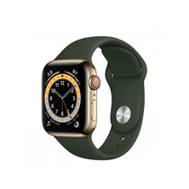 Apple Watch S6 GPS + Cellular, 40mm Gold Stainless Steel Case with Cyprus Green Sport Band - Regular
