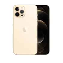 Apple iPhone 12 Pro Max 256GB Gold