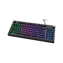 DELTACO GAMING Billentyűzet GAM-110, DK230 Membrane Running RGB TKL Keyboard with numpad, PAN Nordic Layout, black