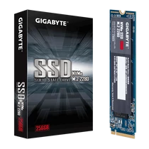 GIGABYTE SSD M.2 2280 NVMe Gen3x4 256GB