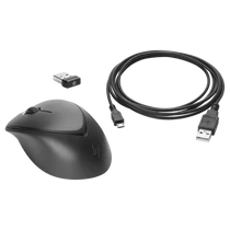 HP Wireless Premium Mouse