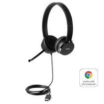 Lenovo 100 USB Stereo Headset