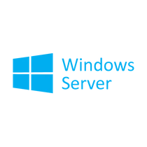 Microsoft Szerver OS  Windows Server CAL 2019 Hungarian 1pk DSP OEI 5 Clt User CAL