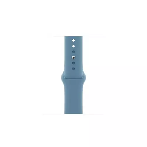 Apple Apple Watch 40mm Band: Northern Blue Sport Band - Regular (Seasonal Nov2020)