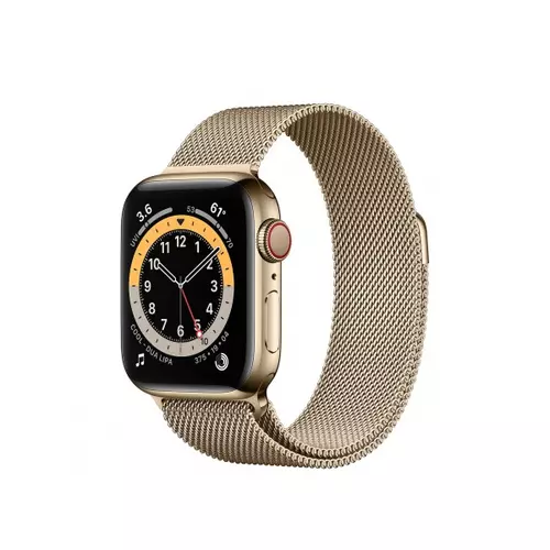 Apple Watch S6 GPS + Cellular, 40mm Gold Stainless Steel Case with Gold Milanese Loop